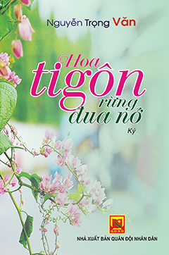 Hoa tigôn rừng đua nở