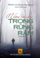 Những dấu chân trong rừng rậm