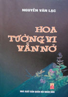 Hoa tường vi vẫn nở